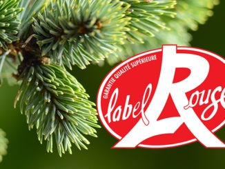 Sapin Label Rouge